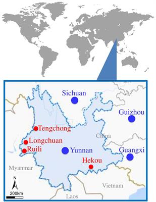A Metagenomic Analysis of Mosquito Virome Collected From Different Animal Farms at Yunnan–Myanmar Border of China